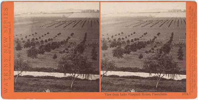 4 CEW, View from Lake Vineyard House, ca. 1877-80, CSL